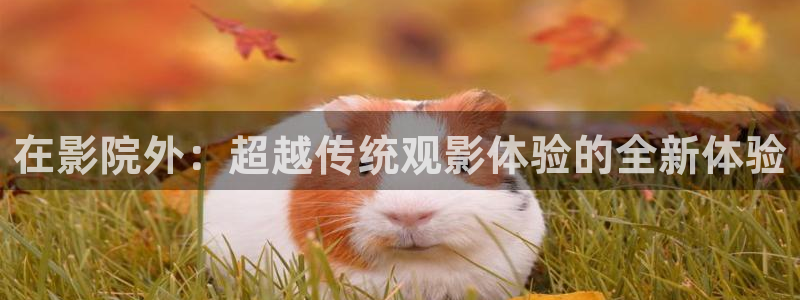 原来被窝影院一区二区